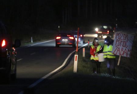 Reševalna akcija Slivniških dvoživk 05 FOTO LJUBO VUKELIČ